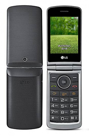 LG G350 - description and parameters