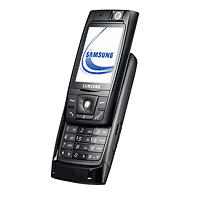Samsung D820 - description and parameters