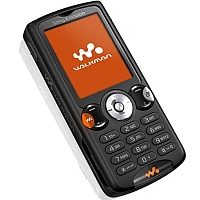 Sony Ericsson W810 - description and parameters