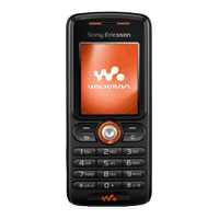 Sony Ericsson W200 W200 - opis i parametry