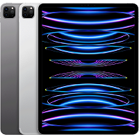 Apple iPad Pro 11 (2022) - description and parameters