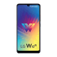 LG W10 Alpha - description and parameters