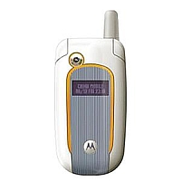 Motorola V501 - descripción y los parámetros