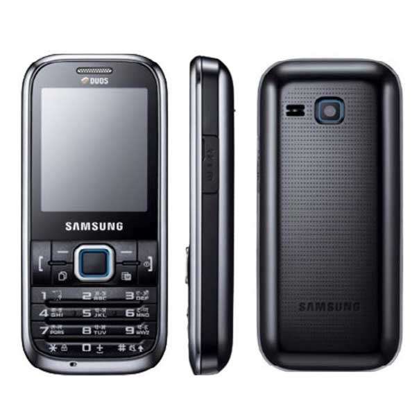 Samsung W169 Duos - description and parameters