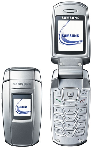 Samsung X300 LGM-K120K - description and parameters