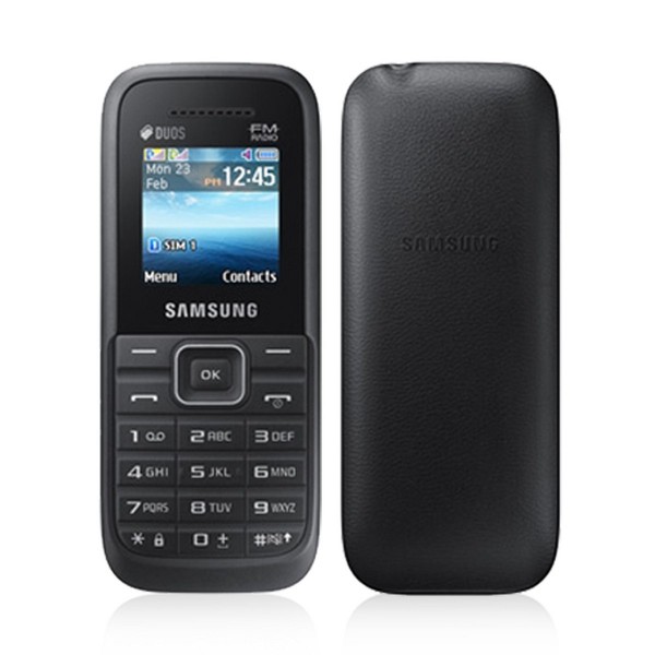 Samsung Guru Plus  SM-B110E - description and parameters