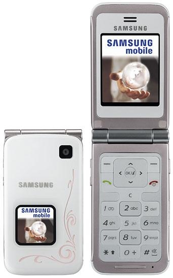 Samsung E420 - descripción y los parámetros